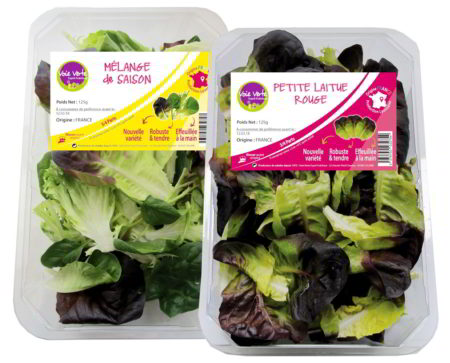 Voie Verte - GMS - Salade prête à rincer